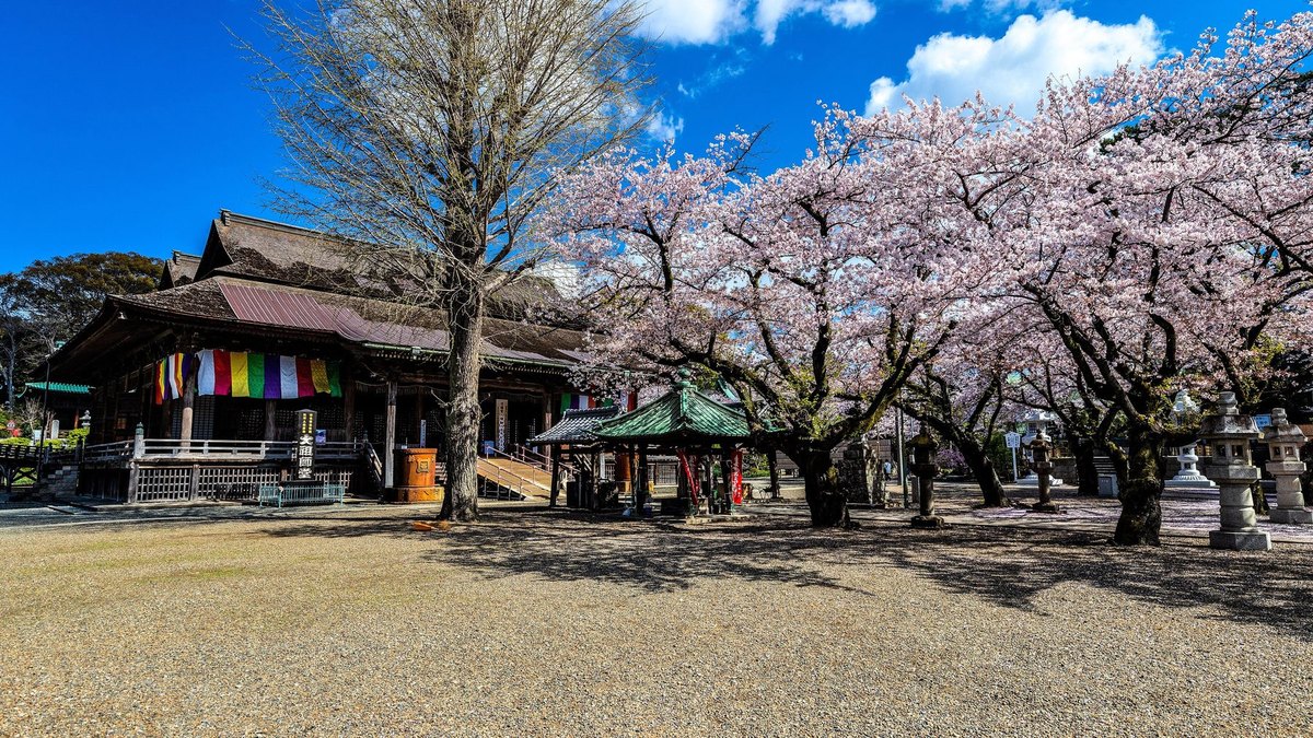 中山法華経寺の風景