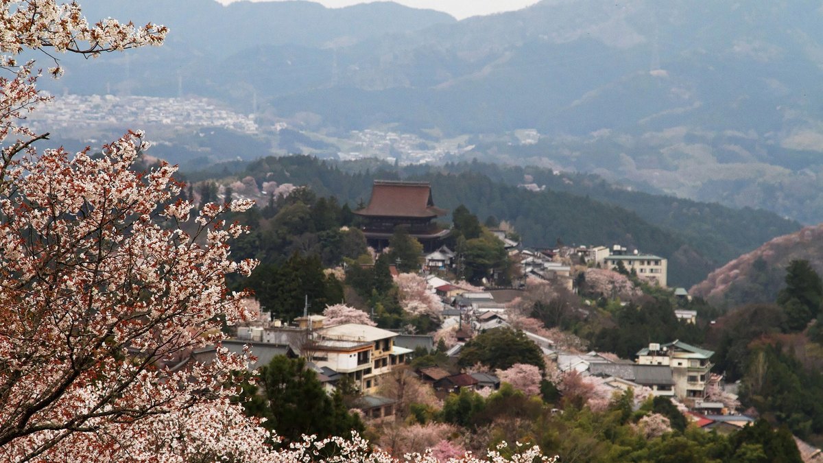 吉野山の風景