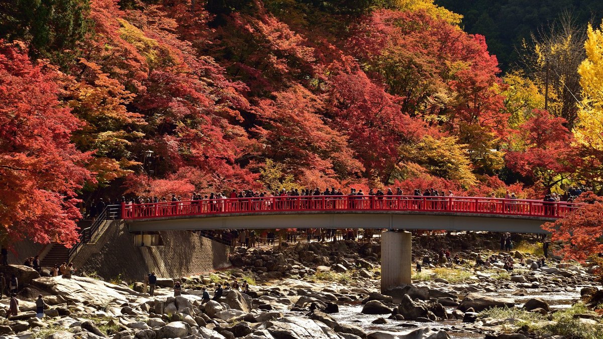 香嵐渓の風景