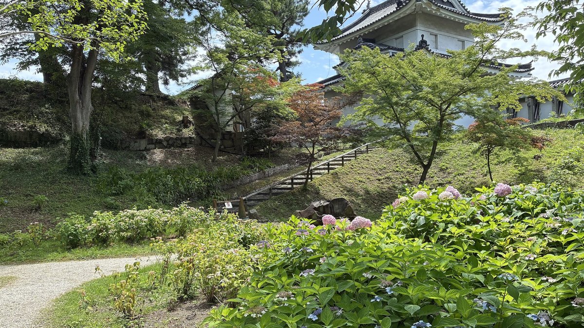 二条城の風景