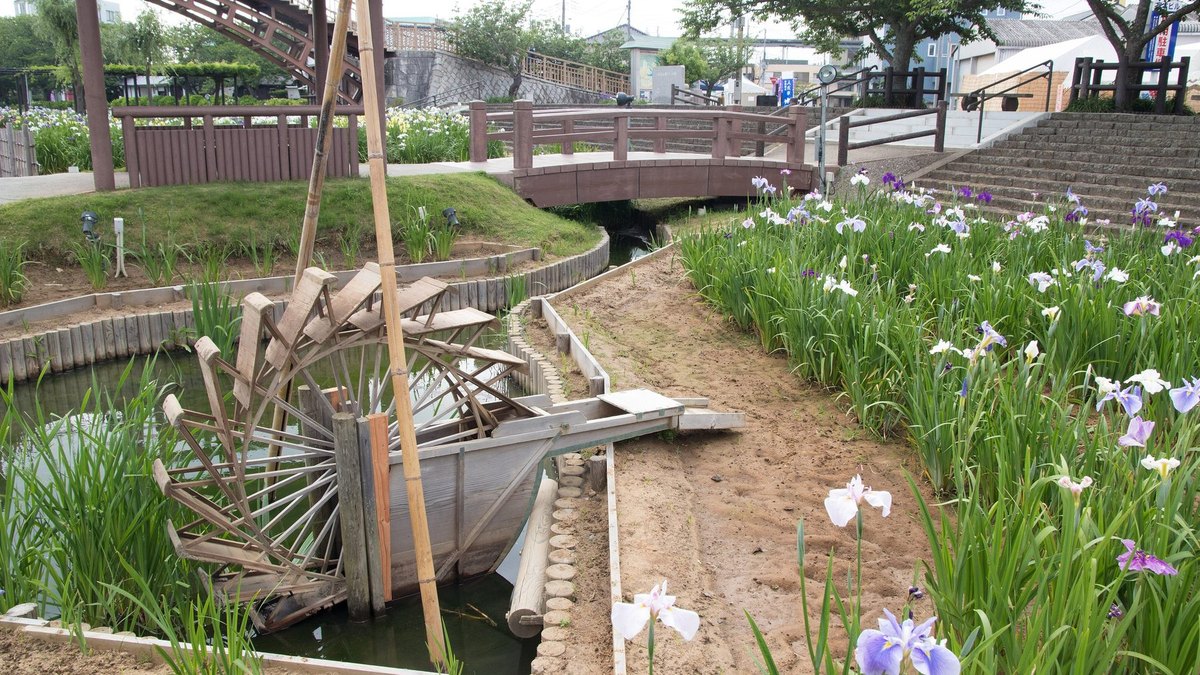 潮来（あやめ園・水郷）の風景