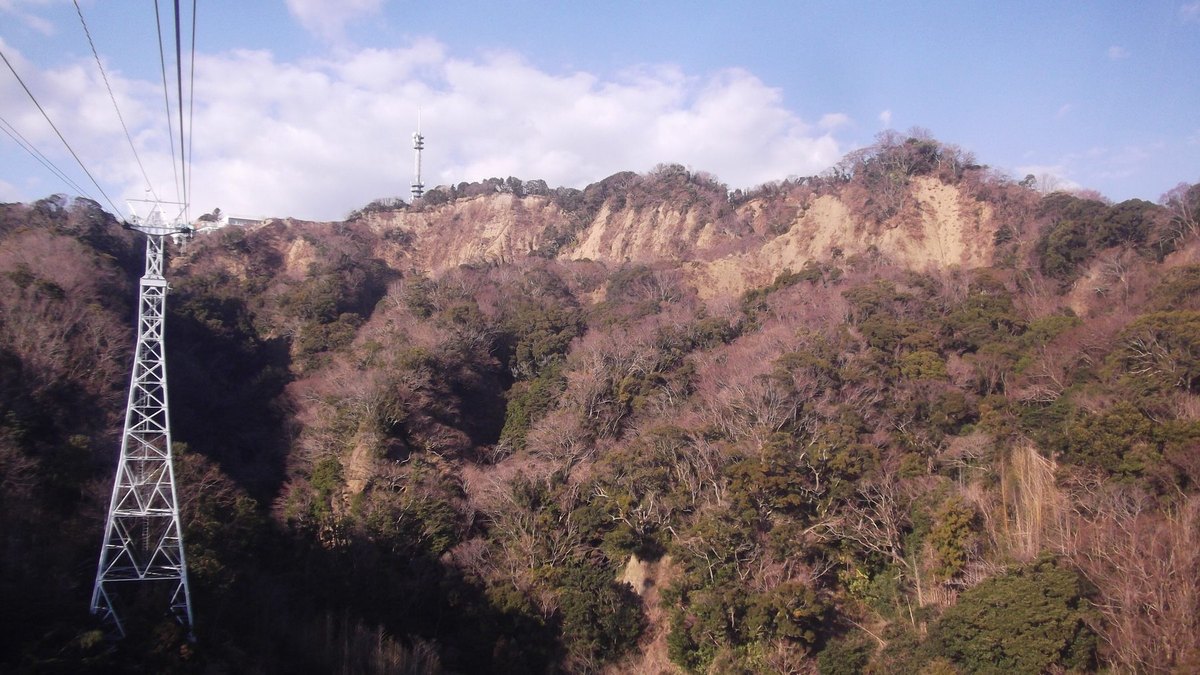 日本平・久能山の風景