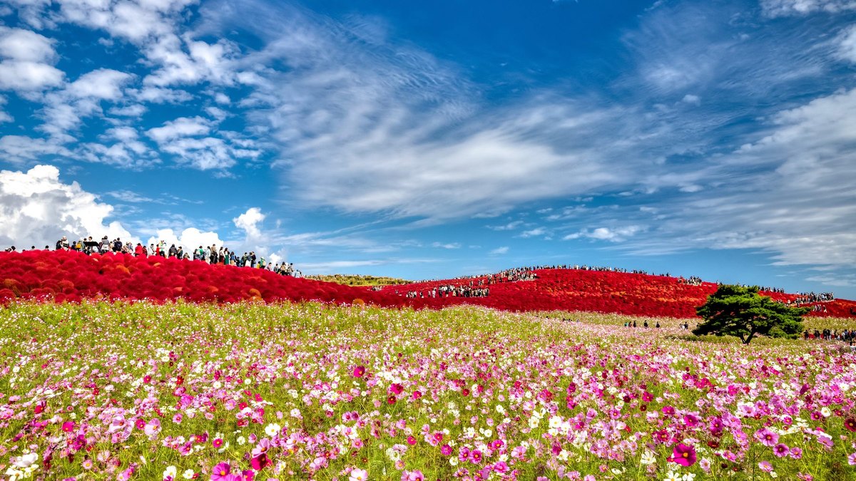 ひたちなかの風景