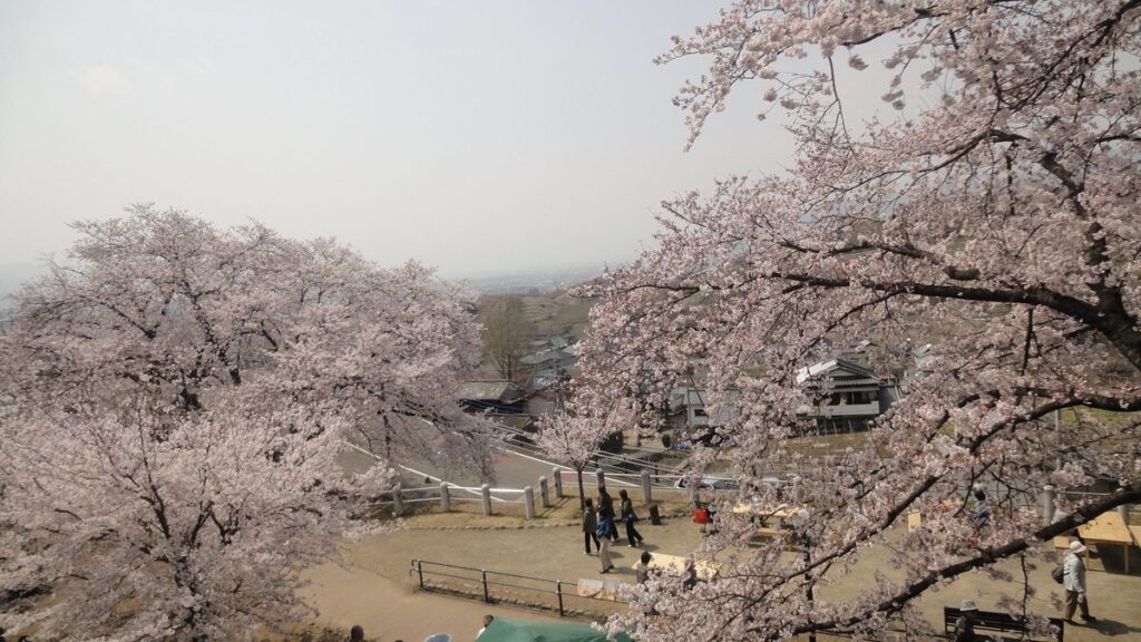 勝沼ぶどう郷の風景