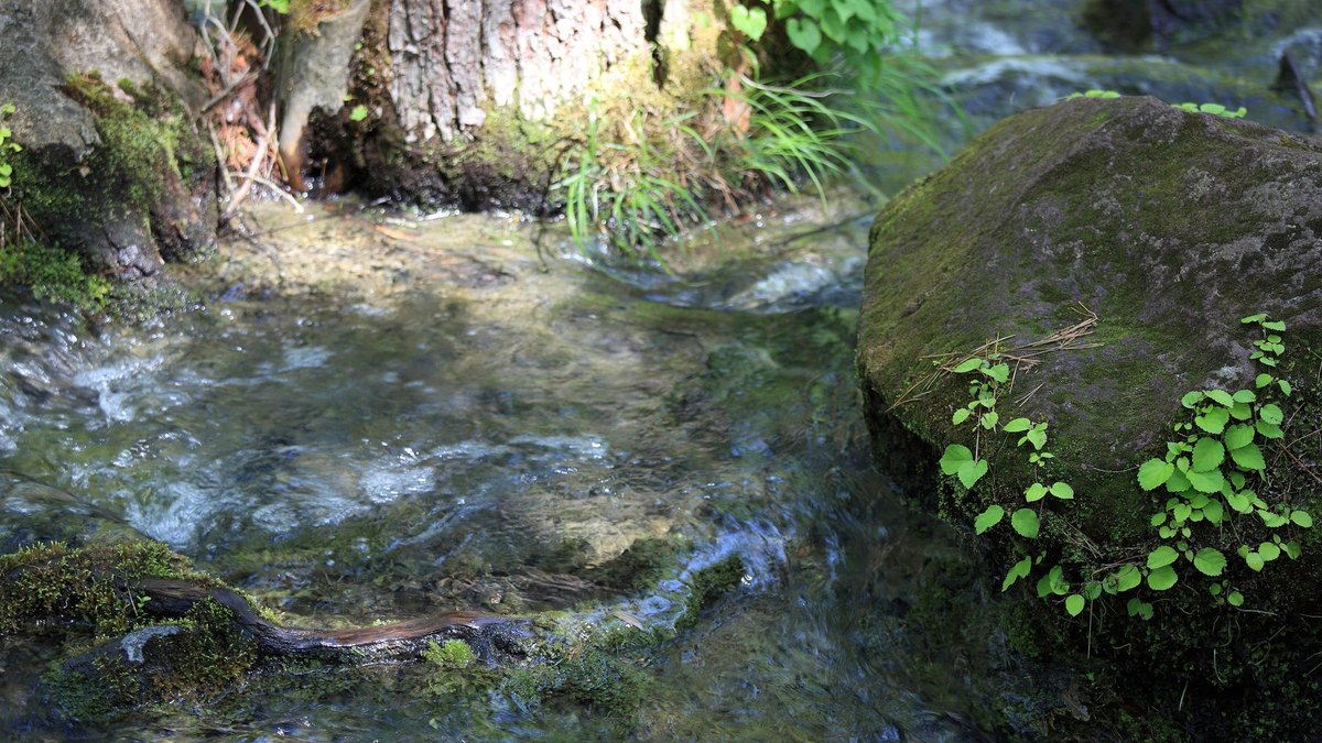 磐梯高原の風景