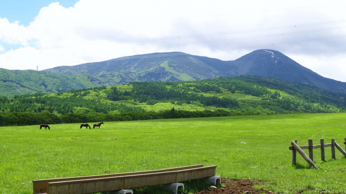 蓼科牧場の風景