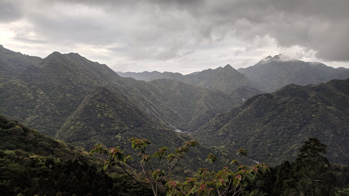屋久島の風景