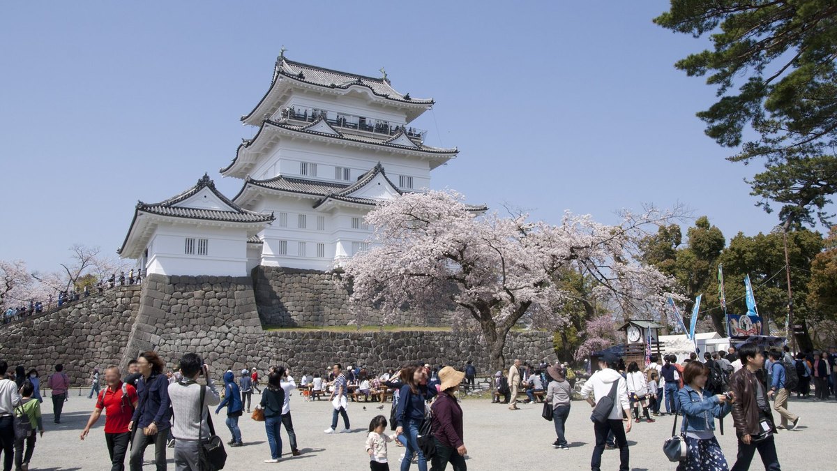 小田原城址公園の風景
