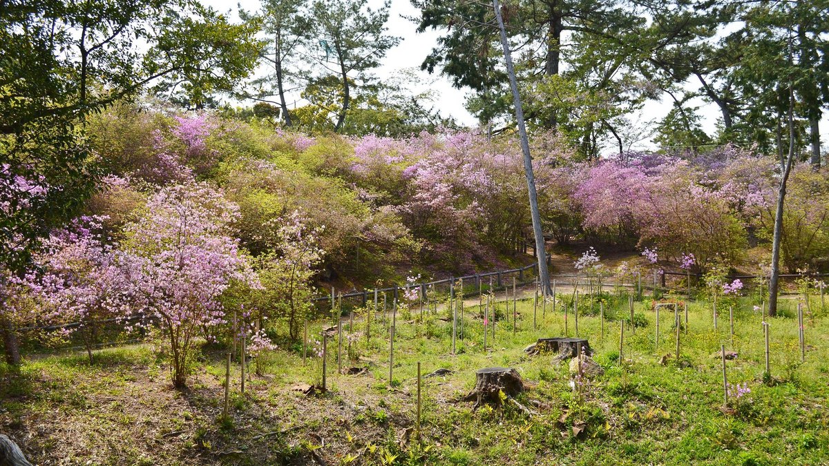 廣田神社の風景