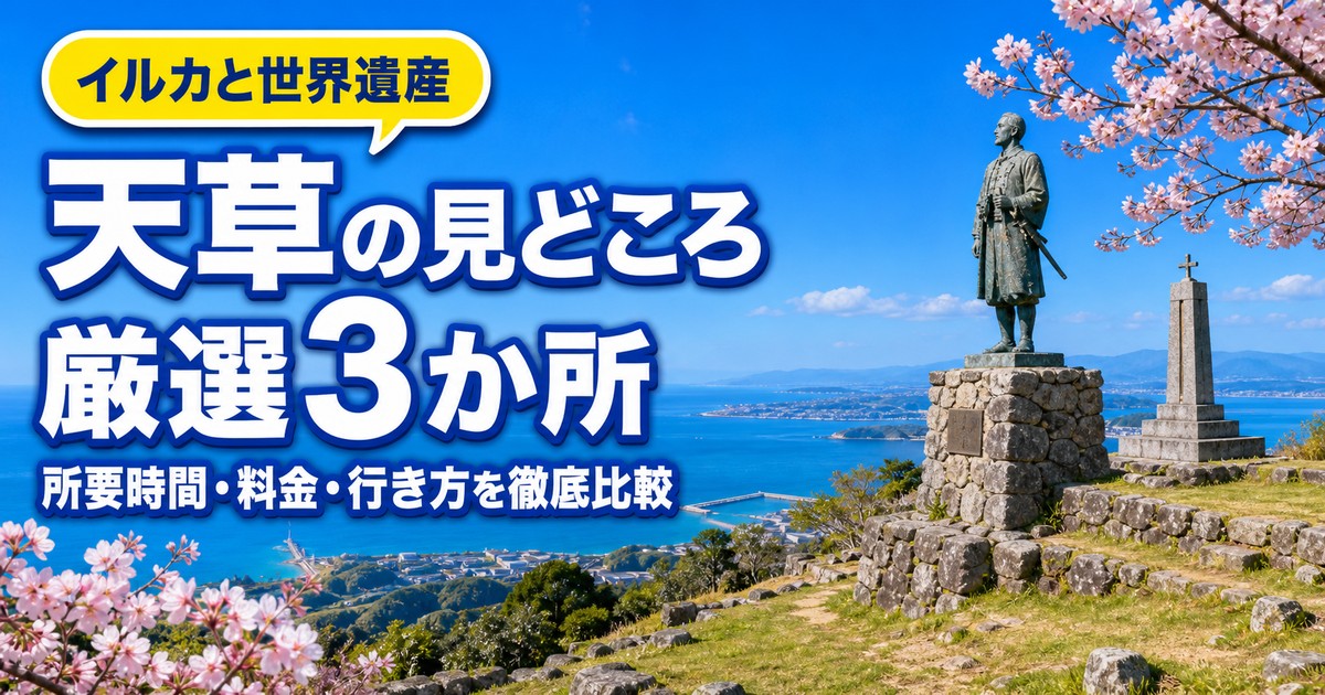 天草の楽しみ方の紹介画像