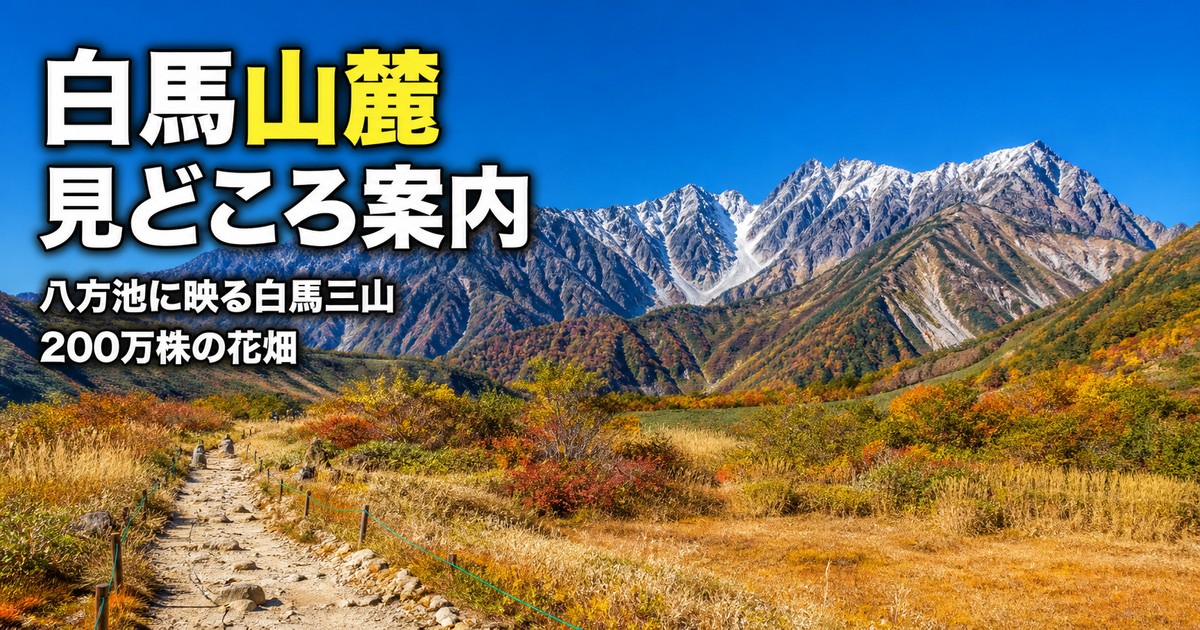 観光地なびの記事画像