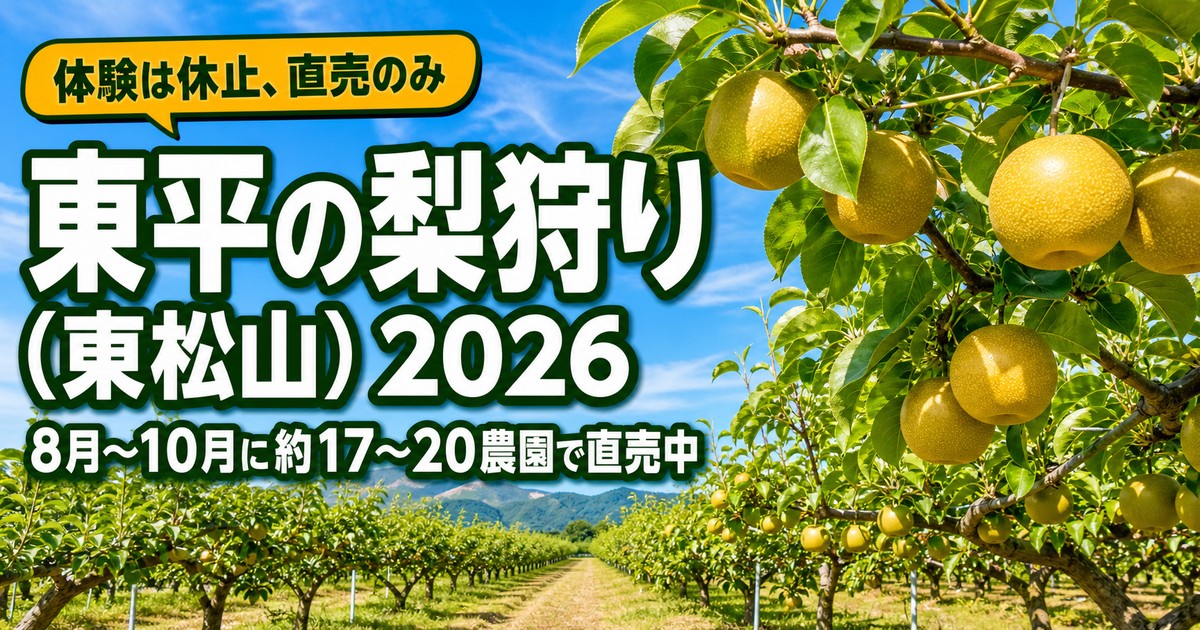 観光地なびの記事画像