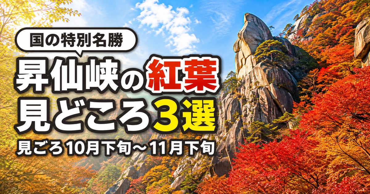 観光地なびの記事画像