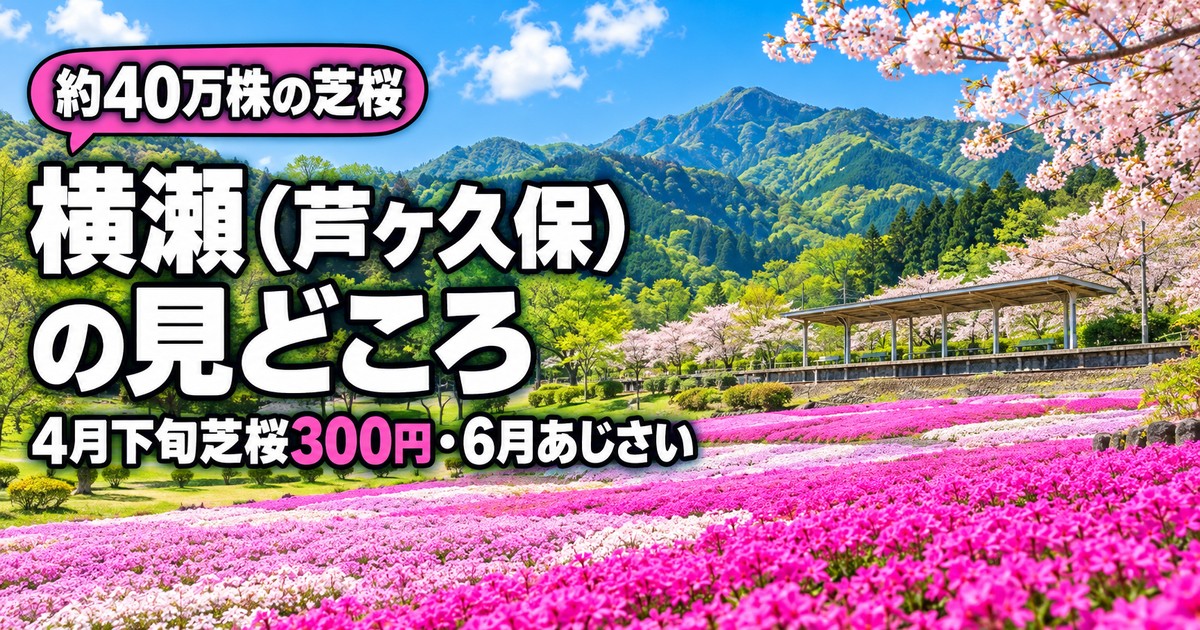 観光地なびの記事画像