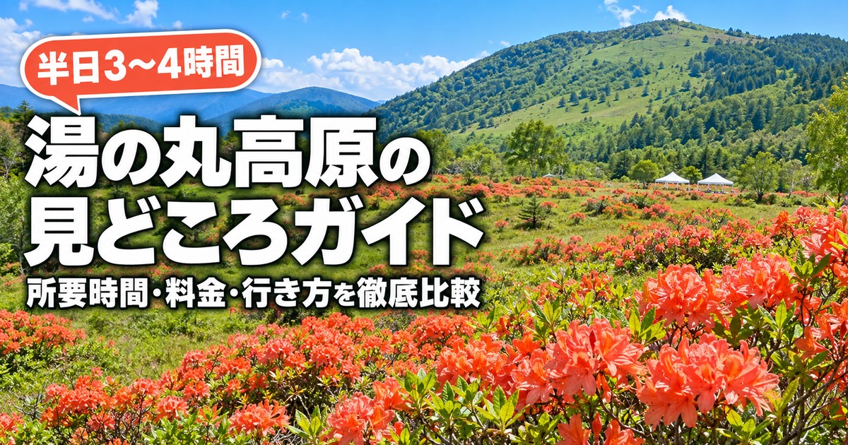 観光地なびの記事画像