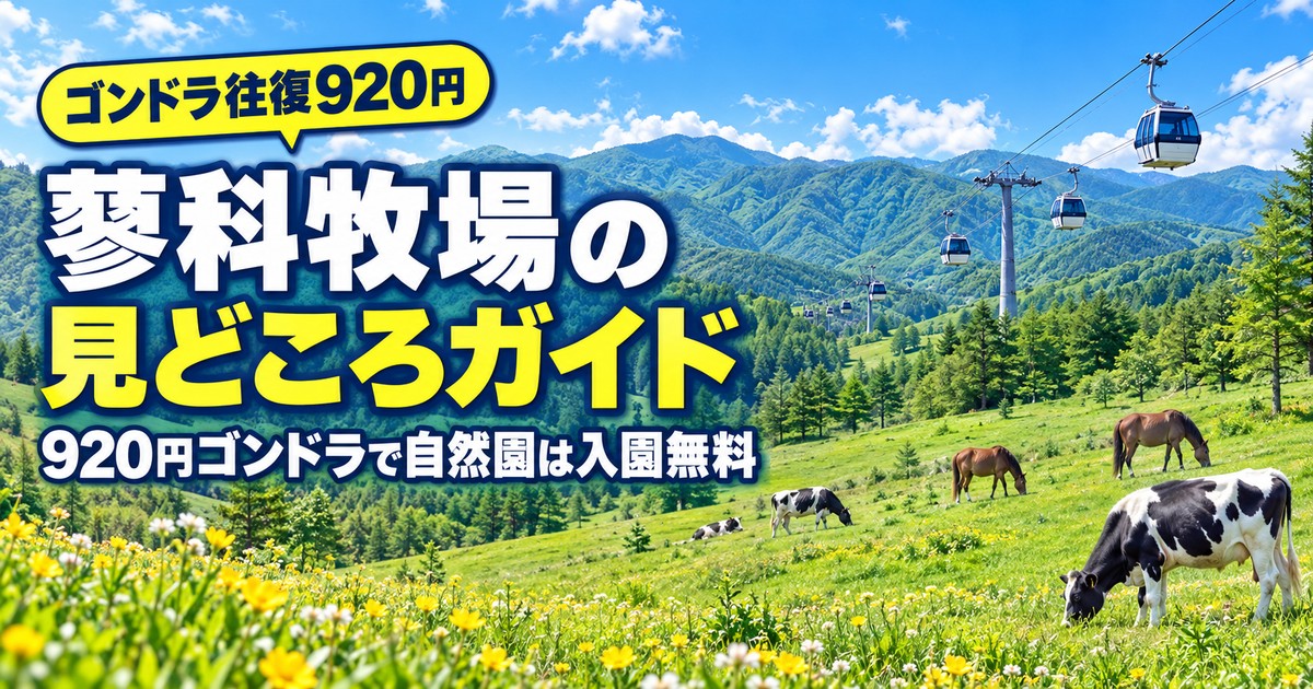 観光地なびの記事画像