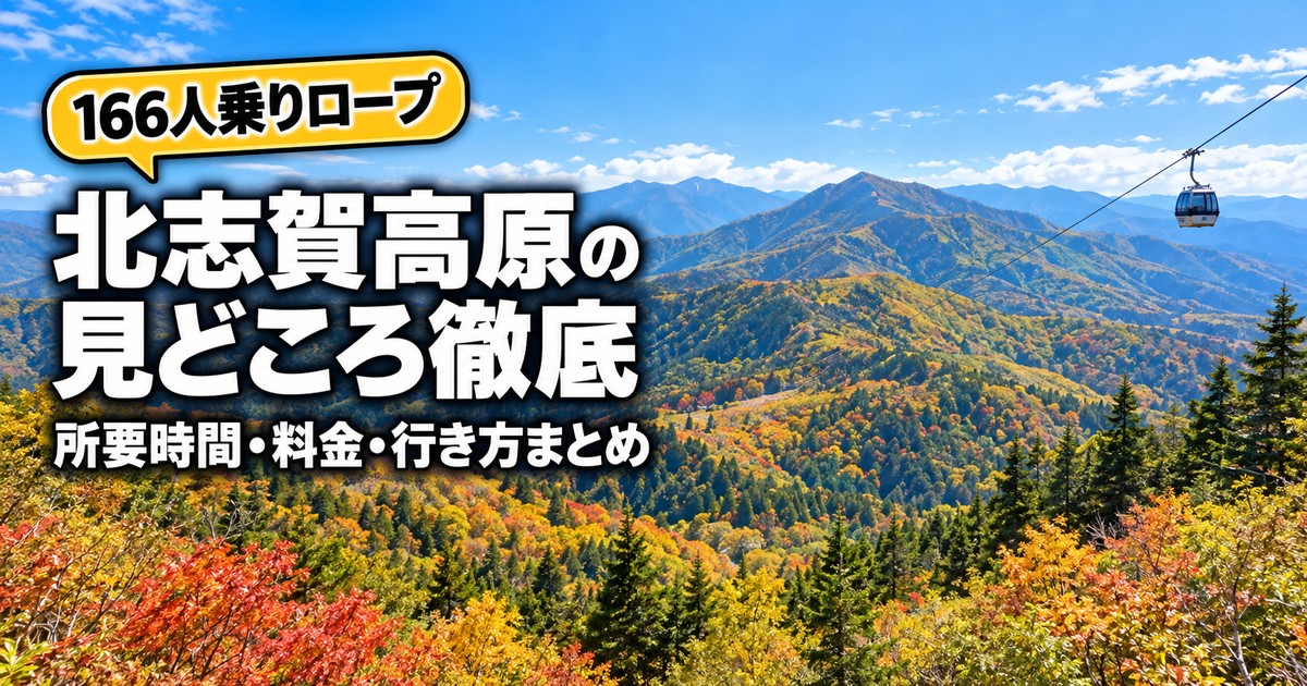 観光地なびの記事画像
