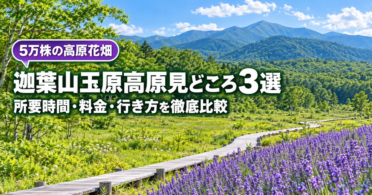 観光地なびの記事画像