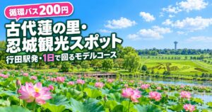 観光地なびの記事画像