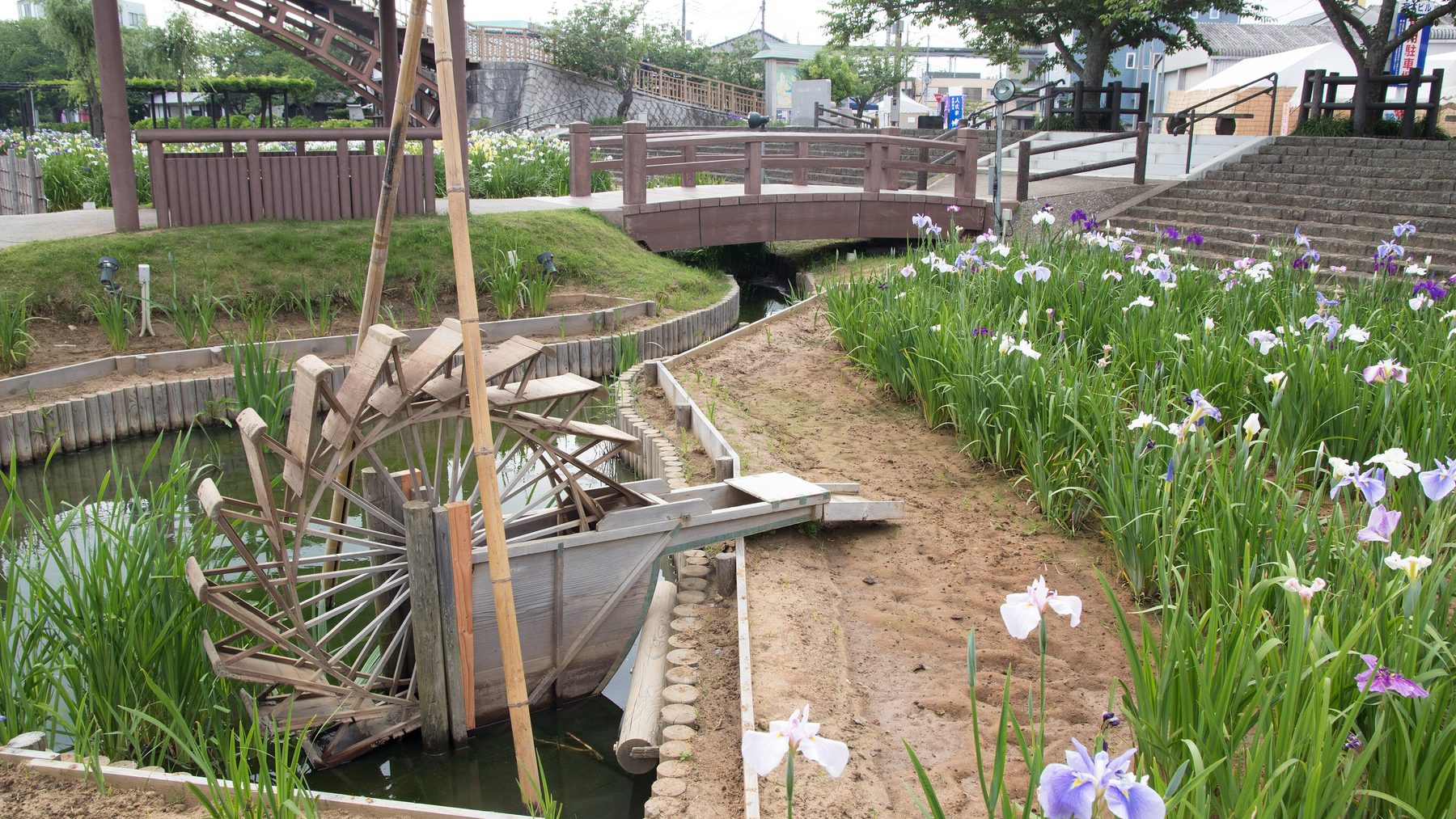潮来（あやめ園・水郷）