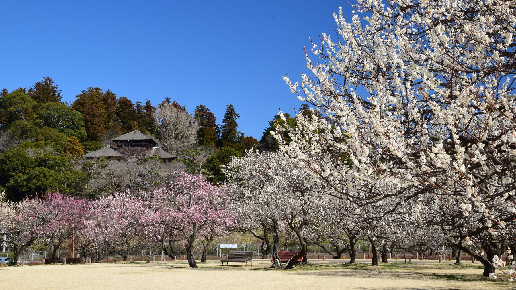 水戸・偕楽園