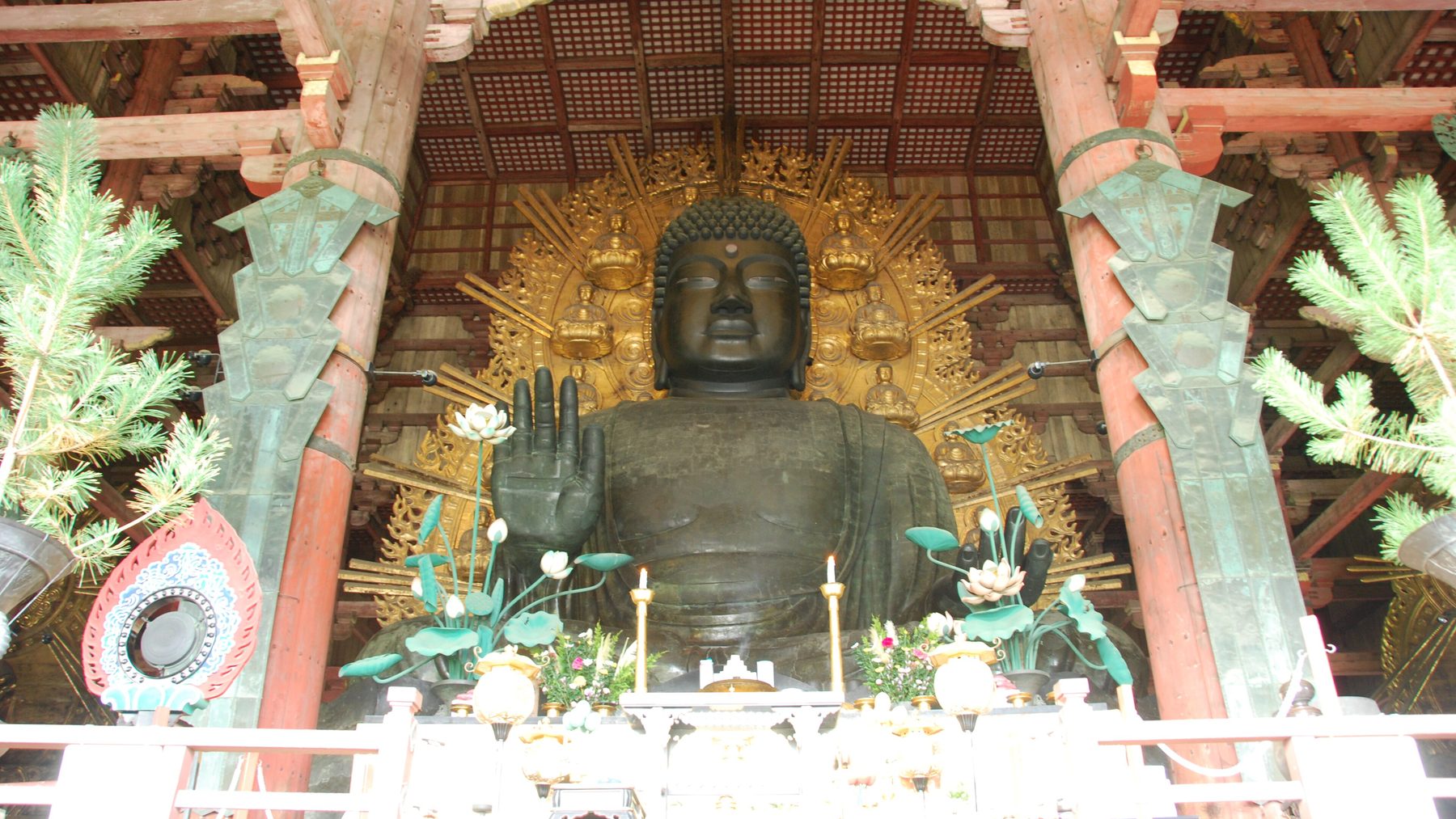 奈良公園・東大寺