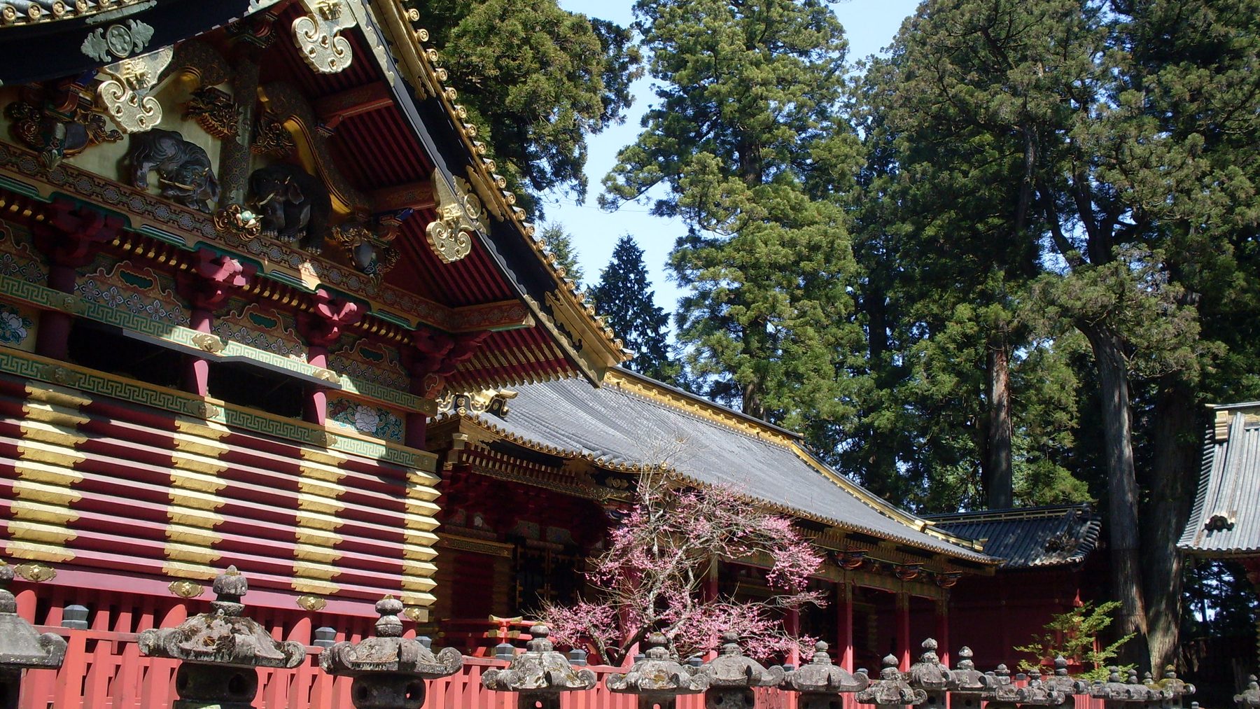 日光