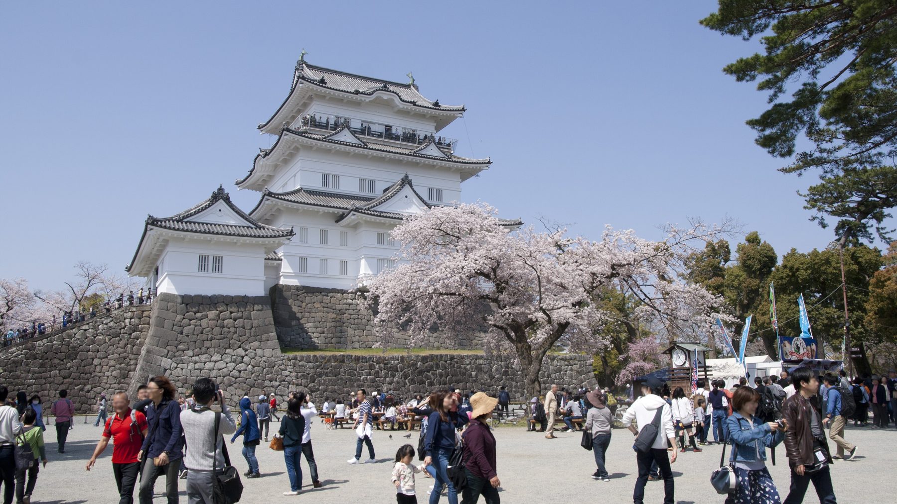 小田原城址公園