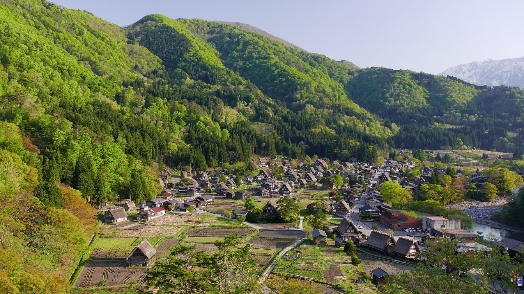 白川郷合掌造り集落