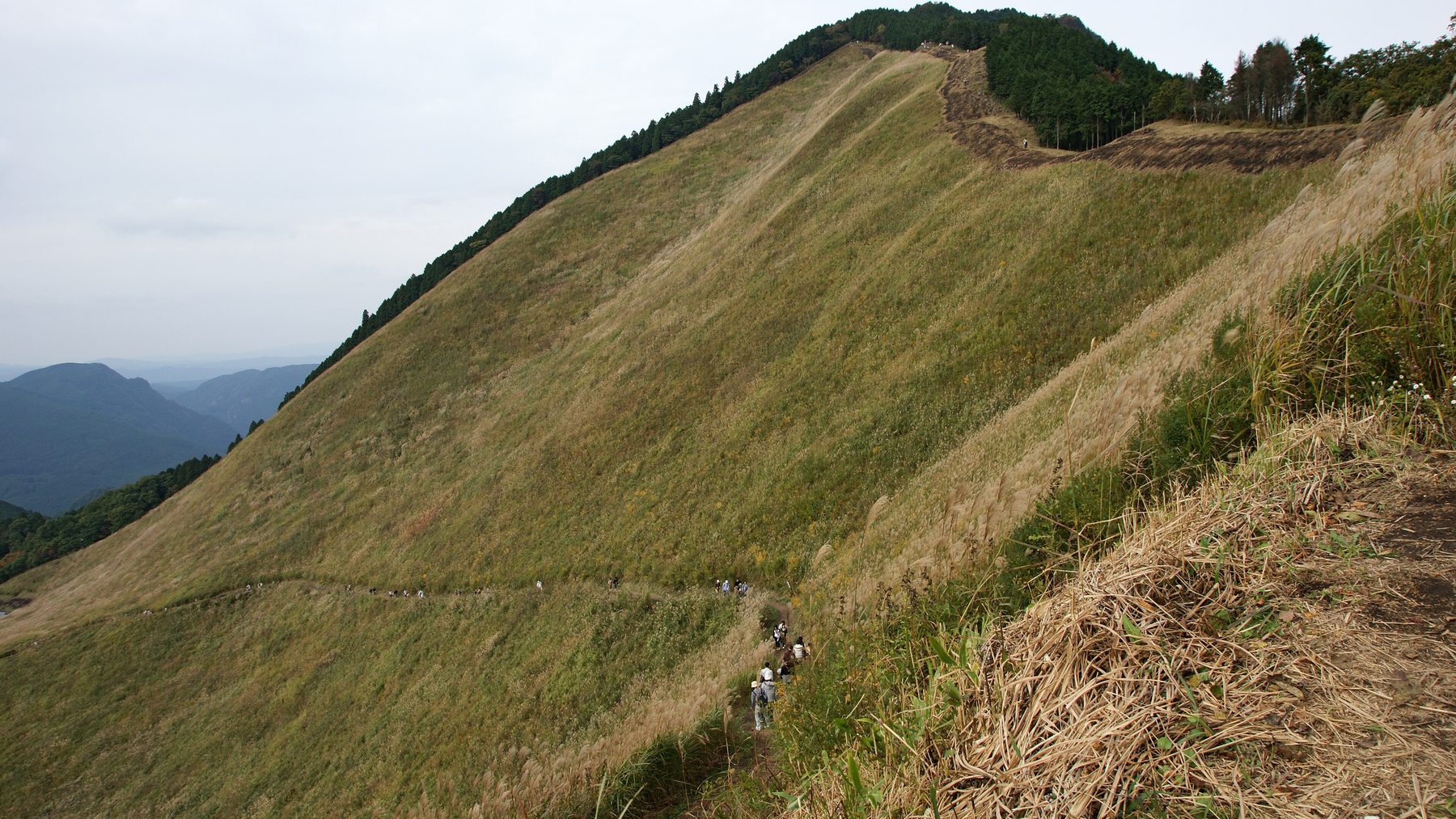 曽爾高原