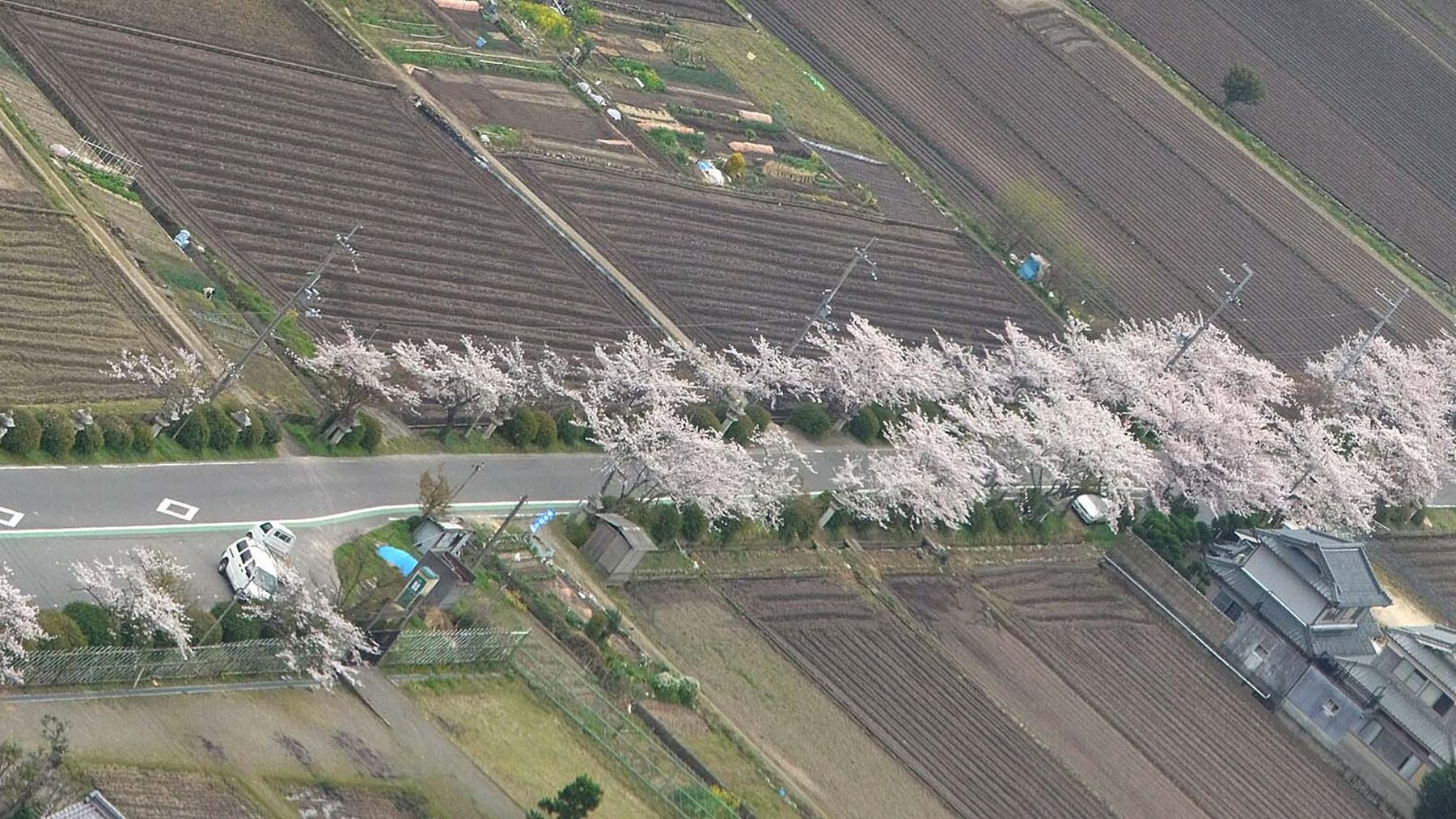 太郎坊宮