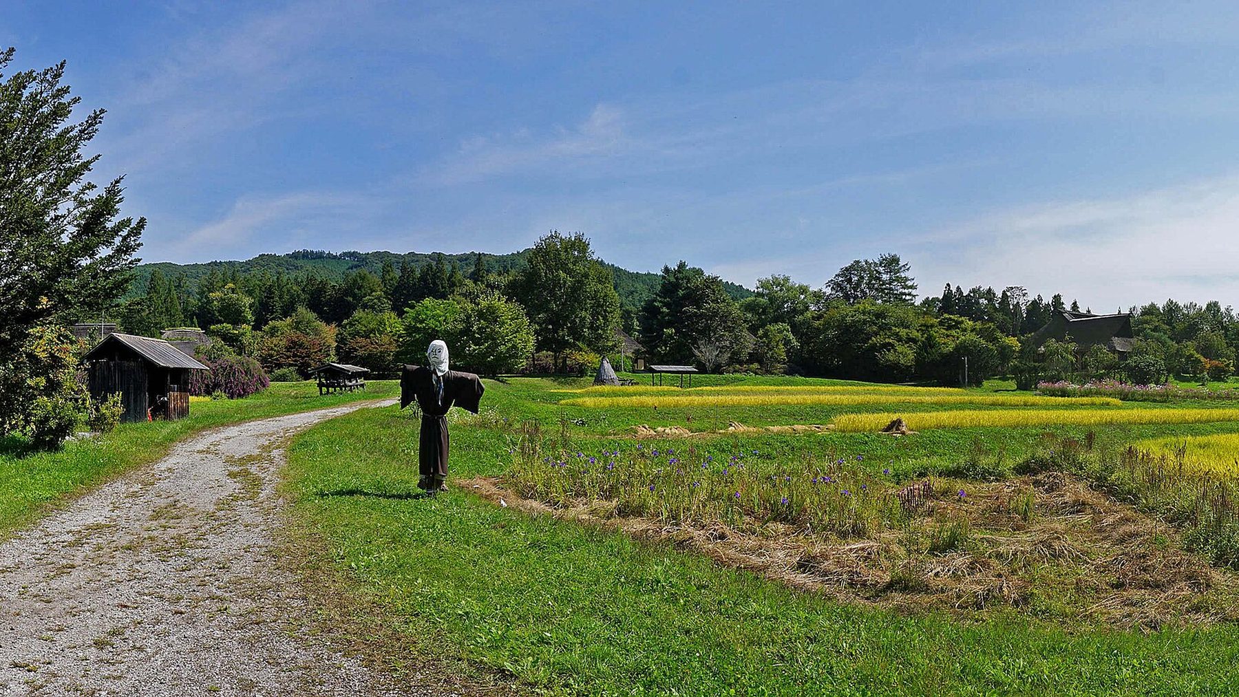 遠野