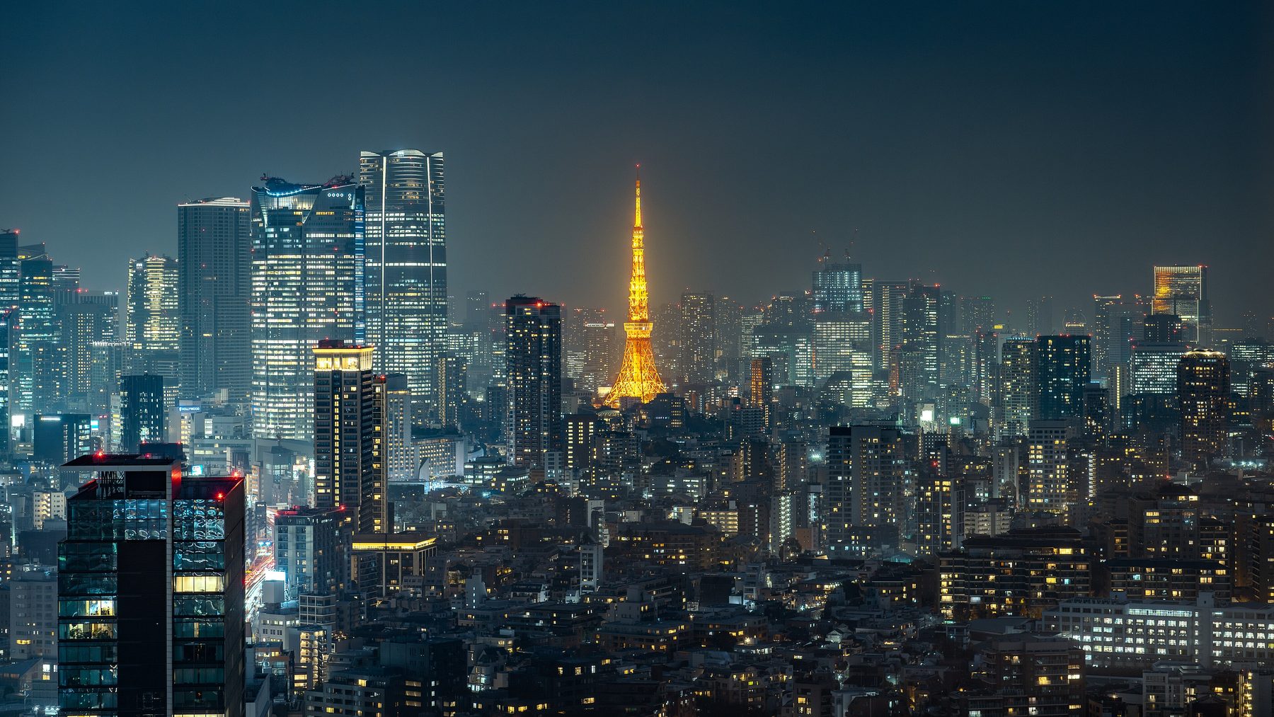 東京タワー周辺・芝