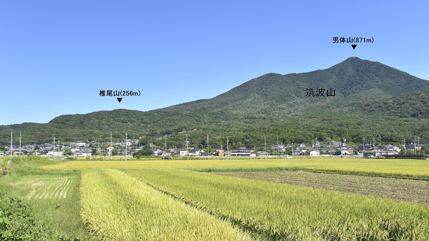 筑波山