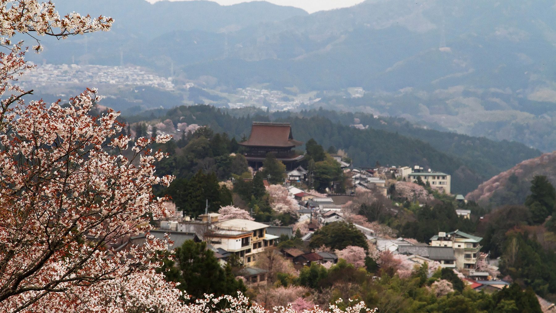 吉野山
